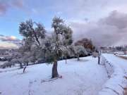 La neve nel territorio pugliese !!.jpg